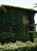 Pareti come giardini verticali: Un esempio di parete a verde tradizionale